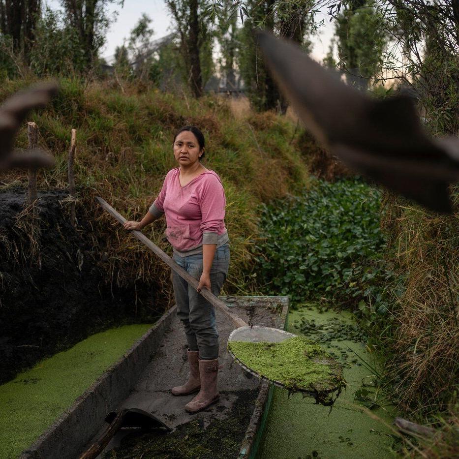 Women in Mexico step up to protect ancient Aztec farms and save a vanishing ecosystem